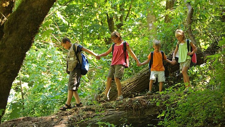 Imamasi priemonių vaikų saugumo klausimu: tikrins, ar vasaros stovyklose dirbantys asmenys nėra teisti