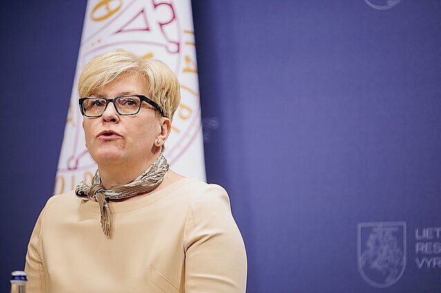 Žinios. Premjerė Ingrida Šimonytė jau apsisprendė, ką siūlys į švietimo, mokslo ir sporto ministrus