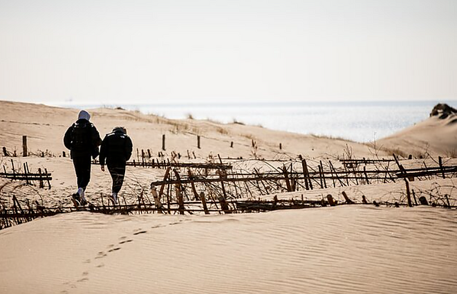 Gyvybė smėlynuose: ką galime sutikti Lietuvos pajūrio kopose?