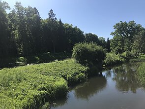 Varduvos upė