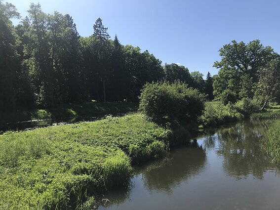 Varduvos upė