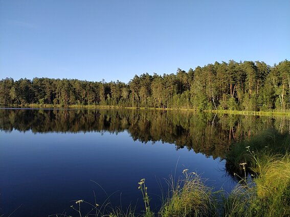 Pramogos Šiauliuose ir jų apylinkėse