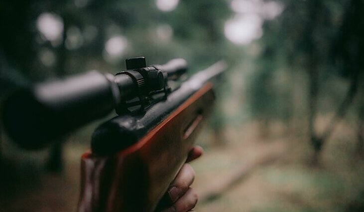 LRT aktualiju studija. Kam iš tiesu naudingi naktiniai taikikliai?