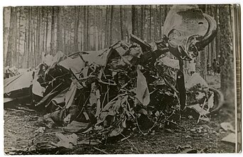Remains of Lituanica on its crash site