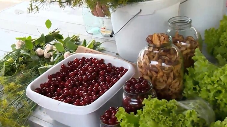 Vasaros sezonas Kėdainių turguje: ką galima rasti ant prekystalių bei kokios ūkininkų gėrybių kainos?