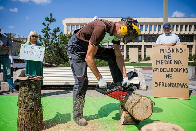 Žinios. Lietuvos žaliųjų partija surengė akciją prie Seimo: skatina valdančiuosius susitarti dėl miškų ateities