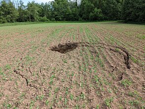 Biržų regioninio parko smegduobės 