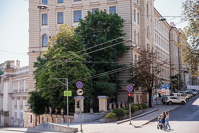 Vilniuje – konfliktas dėl želdyno sostinės Basanavičiaus gatvės terasoje: teismas leido nukirsti 9 medžius