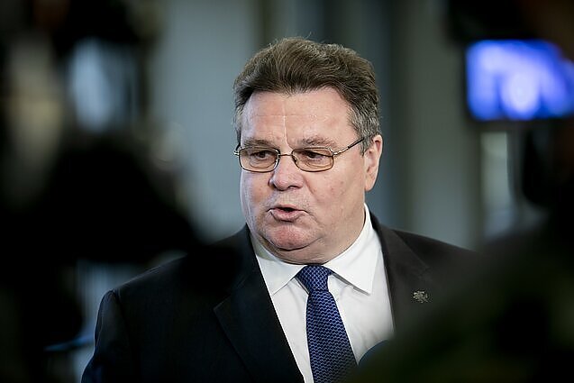 Linkevičius apie sustabdytą grūdų eksporto susitarimą: tai – ir mažytis Kremliaus kerštas Turkijos prezidentui