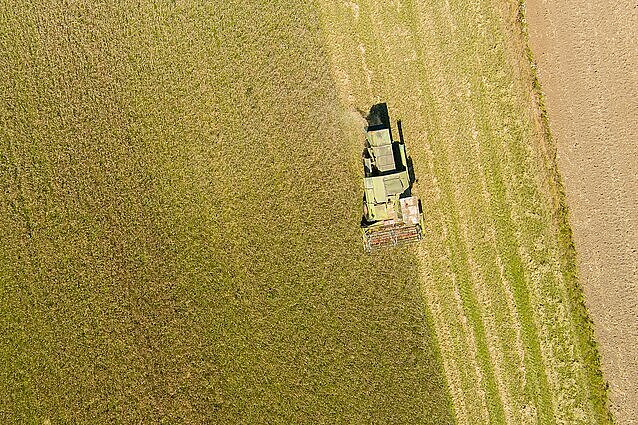 Ekonomistas apie Rusijos vaidmenį kviečių rinkoje: įtaka auga ir tai turėtų kelti nerimą Vakarams