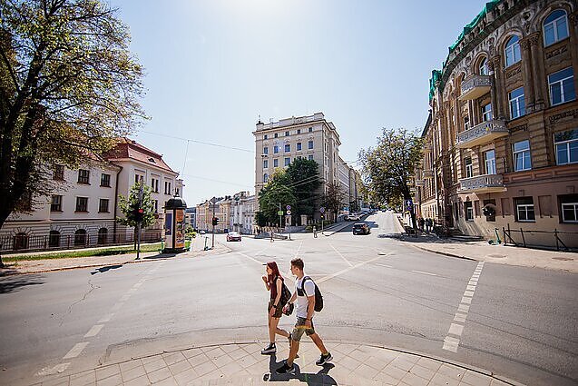 Dalis vilniečių pasipiktino ketinimu kirsti 9 brandžius medžius Naujamiestyje: rengiamas piketas, situacija susidomėjo prokurorai