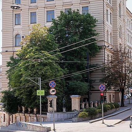 J. Stacevičiaus / LRT nuotr., Medžiai J.Basanavičiaus g. 