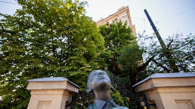 LRT aktualijų studija. Kaip turėtų būti saugojami medžiai mieste?