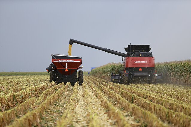 „Rusija grūdus naudoja kaip amuniciją“: artėjant rugiapjūtei, ukrainietiškas derlius – Rusijos karinių ambicijų įrankis