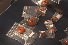 Grafienės Antaninos Sofijos Tiškevičienės Kretingos muziejui dovanota gintaro dirbinių kolekcija