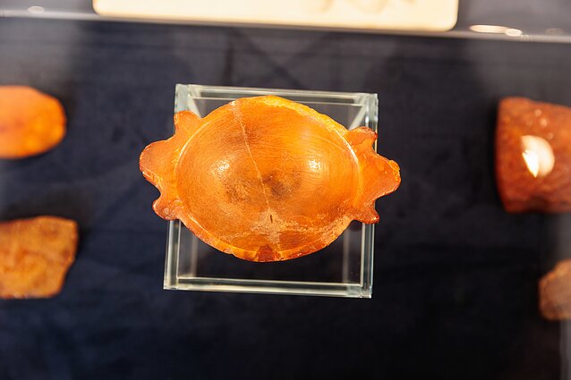 Grafienės Antaninos Sofijos Tiškevičienės Kretingos muziejui dovanota gintaro dirbinių kolekcija