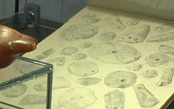 Palangos gintaro lobis