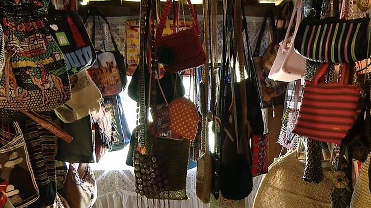 Vieni juokėsi, kiti stebėjosi: rokiškėnės kolekcijoje – beveik 900 išskirtinių rankinukų