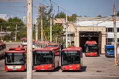 Viešasis transportas