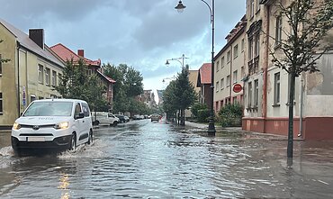 Pirmadienio liūtis Klaipėdoje Pirmadienio liūtis Klaipėdoje