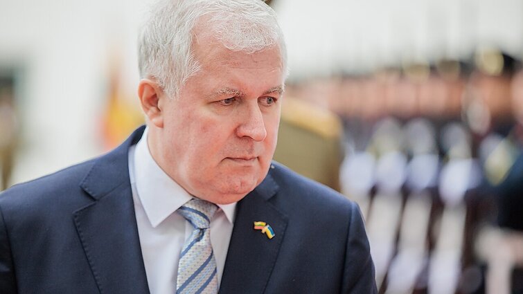 Politologė apie kritikos sulaukusį Anušauską: stumtelti ministrą iš posto su tokiais reitingais būtų labai rizikingas žingsnis