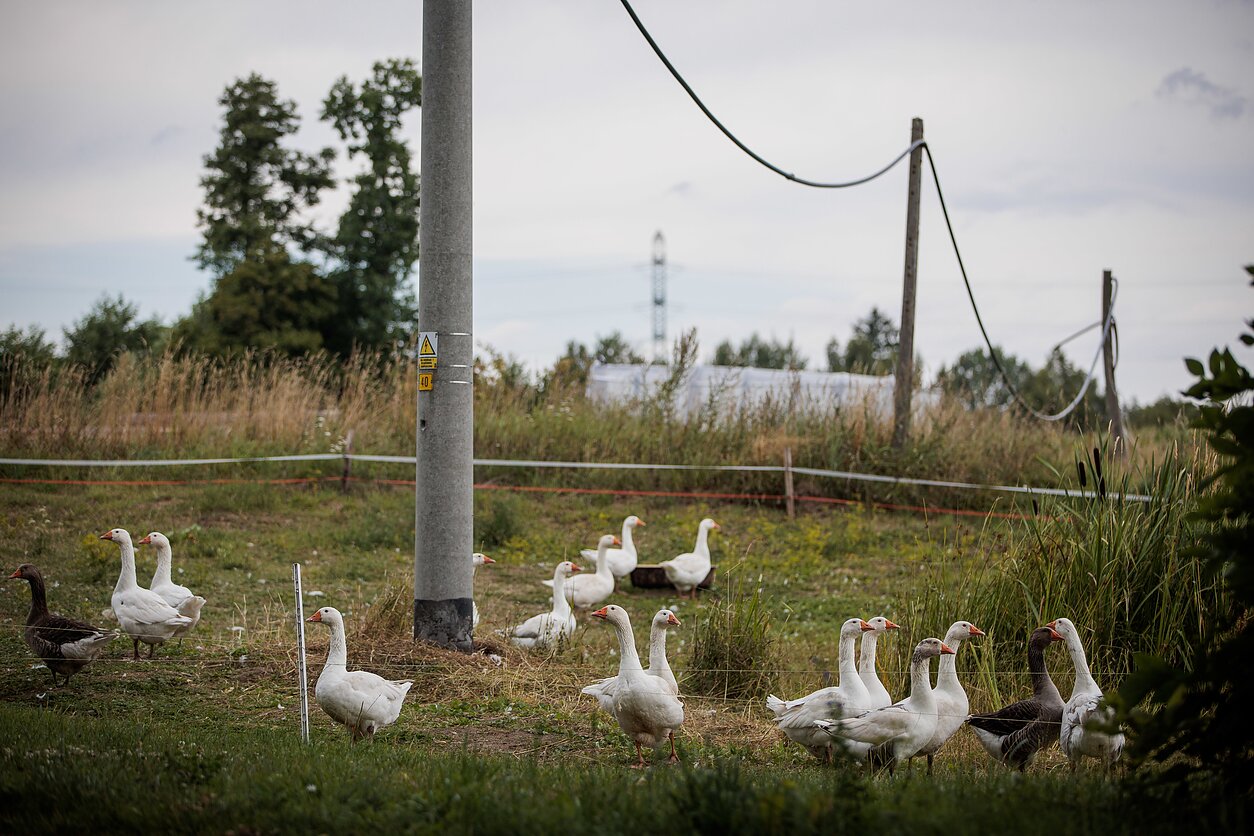 Suvalkų koridorius, Lenkija Suvalkų koridorius, Lenkija