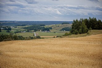 Suwalszczyzna