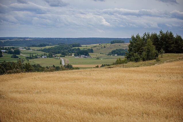 Suwalszczyzna