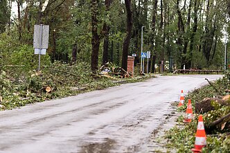 Žagarė, a town in Lithuania's northern Joniškis District, after a storm.