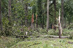 Žagarė, a town in Lithuania's northern Joniškis District, after a storm.