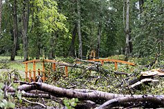 Žagarė, a town in Lithuania's northern Joniškis District, after a storm.