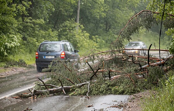 Išdaužyti langai ir suvarpyti stogai: Širvintų rajono gyventojai stebisi pasipylusiais delno dydžio ledokšniais