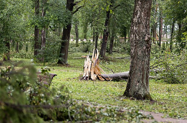 Joniškio rajone dėl audros padarinių skelbiama ekstremalioji situacija: žuvo žmogus, sunaikinti pasėliai