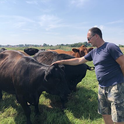 Gimtoji žemė. Pirkdamas aukcione bulių ūkininkas tikėjosi garantijų, bet jų nėra