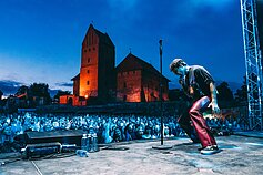 Vaido Baumilos koncerto Trakuose akimirka