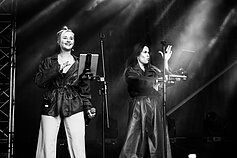 Vaido Baumilos koncerto Trakuose akimirka