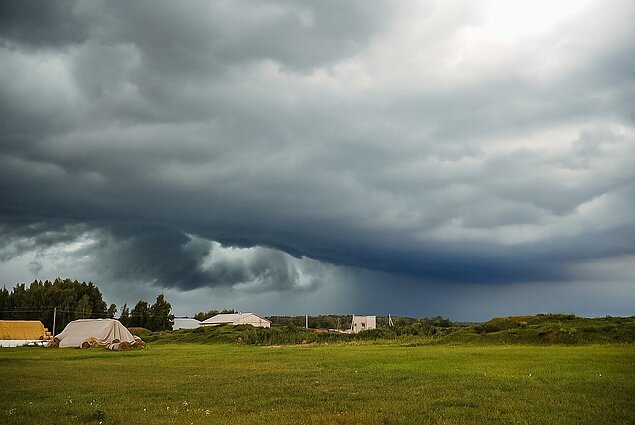 Navickas apie audrų pridarytus nuostolius ūkininkams: žmonės išsigandę, gali visai nebelikti pašarų gyvuliams