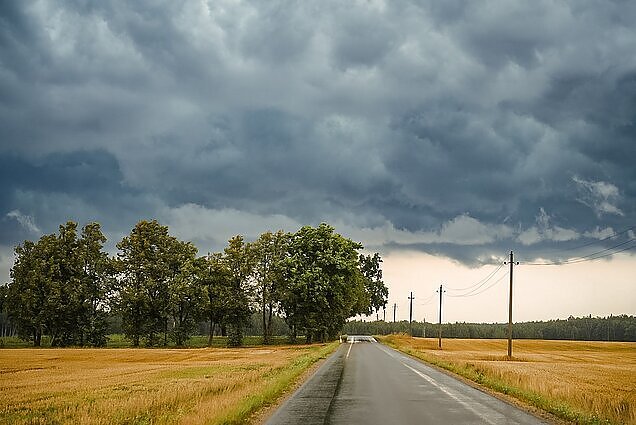 Ūkininkai toliau skaičiuoja dėl audros patirtus nuostolius: kai kurie juos turės dengti savo lėšomis