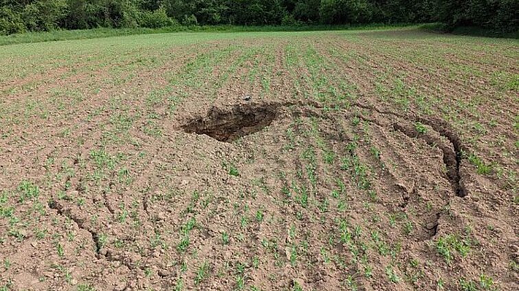 Smegduobės – Biržų krašto vizitinė kortelė: kaip ir kodėl jos veriasi?