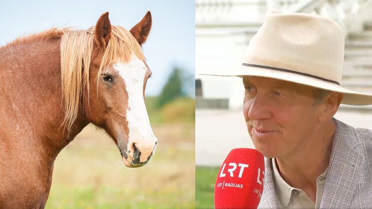 „Tarp geležies prarandame patys save“: vietoje traktorių biržietis 250 ha žemės sklypą renkasi dirbti arkliais