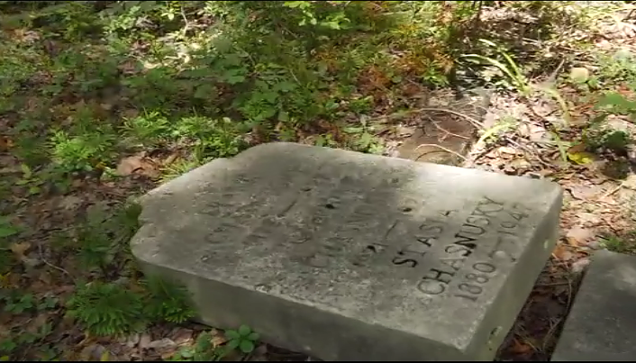 Abandoned Lithuanian cemetery 