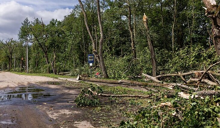 Pasak klimatologo, turėsime priprasti ne tik prie karščių, bet ir audrų: ateityje tik dažnės