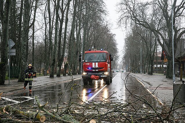 Žinios. Dėl audros padarytos žalos draudikų prašoma atlyginti apie 7 mln. eurų nuostolių