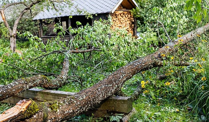 Lietuvoje skaičiuojami audros padaryti nuostoliai, tačiau ūkininkai daug vilčių į Vyriausybės paramą nededa