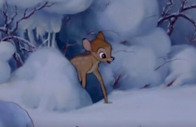 Ryto klausimas. Ar žinote, koks gyvūnas buvo Bembis?