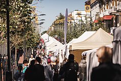 Šiaulių dienos Šiaulių dienos