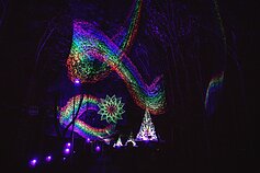 Šiaulių dienos Šiaulių dienos