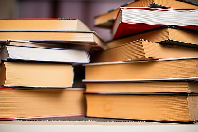 Rytas su knyga. Jolantos Kryževičienės literatūros apžvalga