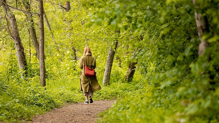 Specialistė apie erkių aktyvumą vasaros pabaigoje: vėstant orams, prarandame budrumą