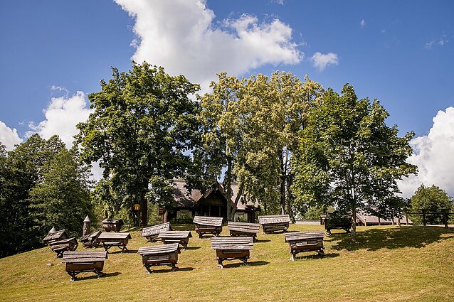 Senovinės bitininkystės muziejuje – nauji kūriniai: prie lauko ekspozicijos Stripeikiuose prisidėjo menininkų gausa
